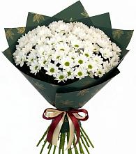 Букет цветов из:  Хризантемы в Сусумане